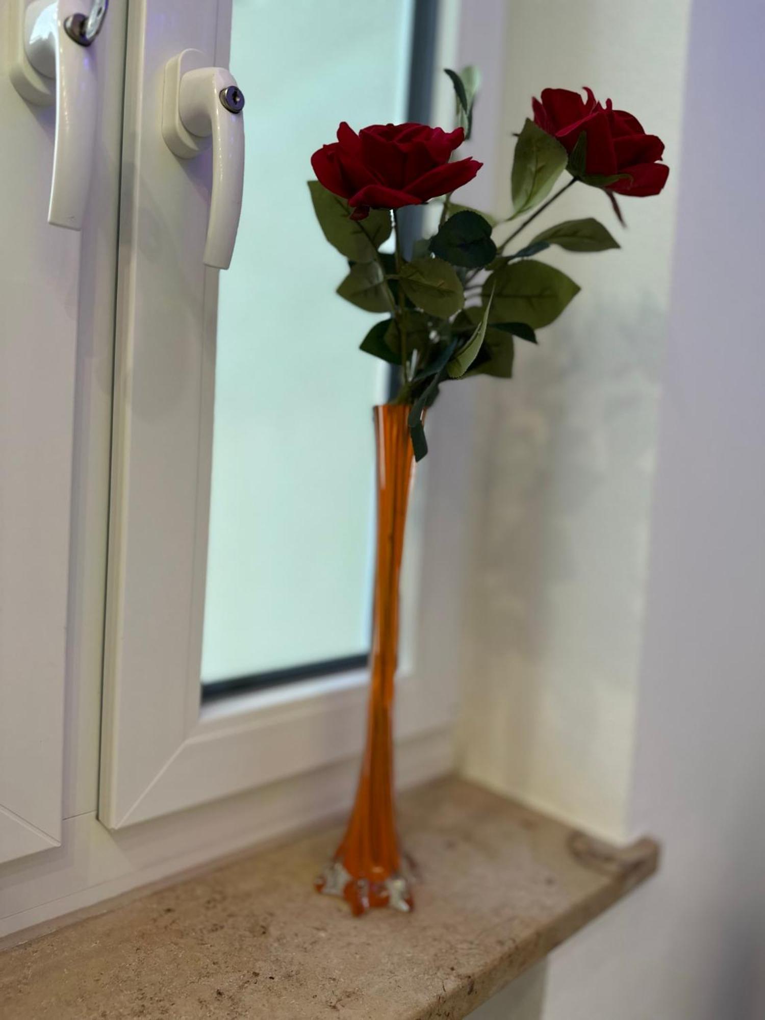 Modern Apartments Neuburg P - Top - 2 Zimmer, Komfort, Balkon, Wi-Fi, Smart Tv, Grosse Dusche, Kueche 노이부르크 안 데어 도나우 외부 사진